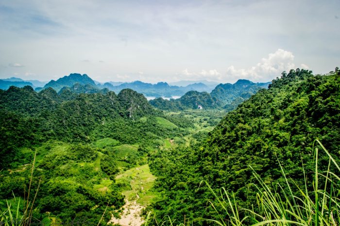 Kiley Little School Camps (2)